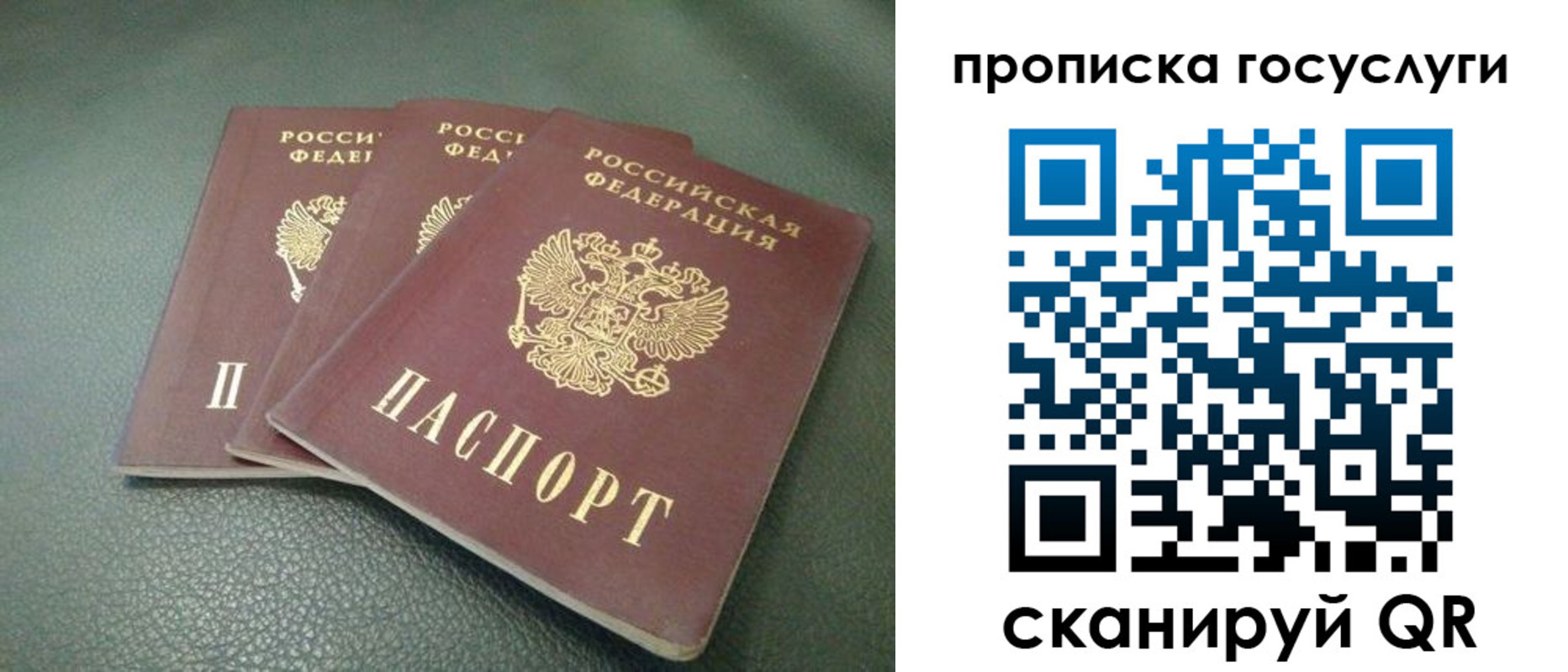 временная регистрация госуслуги в Светогорске